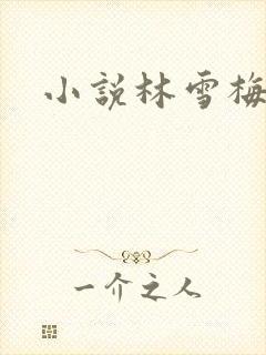 小说林雪梅