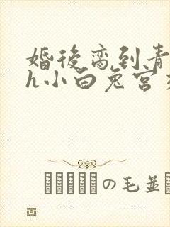 婚后脔到青梅哭h小白兔宫交h