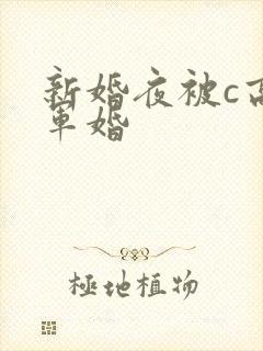 新婚夜被c高h军婚