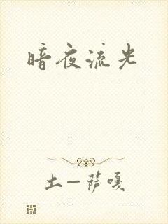 暗夜流光