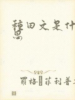种田文是什么意思