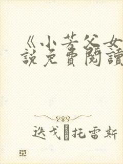 《小芳父女》小说免费阅读