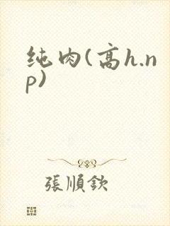 纯肉(高h.np)