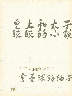 皇上和太子妃沈皎皎的小说免费