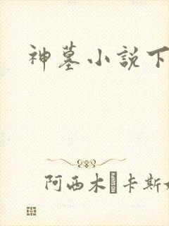 神墓小说下载