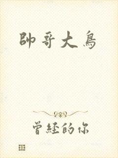 帅哥大鸟
