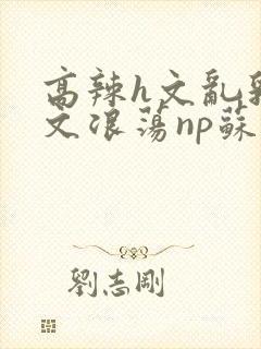 高辣h文乱乳h文浪荡np苏夏