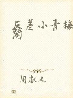 反差小青梅笔趣阁