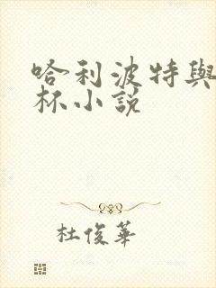 哈利波特与火焰杯小说