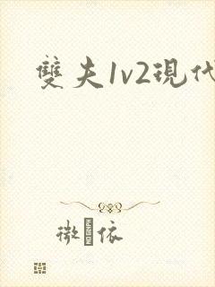 双夫1v2现代
