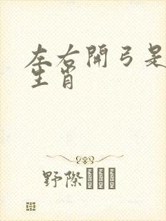 左右开弓是什么生肖