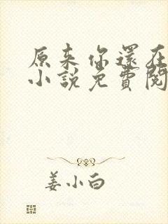 原来你还在这里小说免费阅读