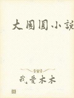 大团圆小说