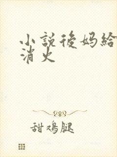 小说后妈给我消消火