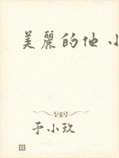 美丽的他 小说