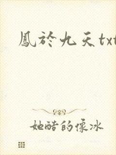 凤于九天txt