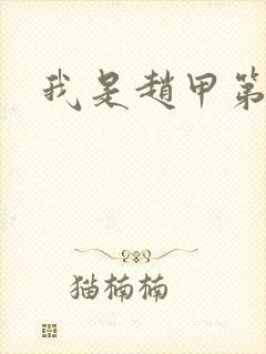 我是赵甲第小说