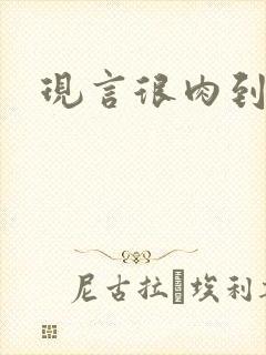 现言很肉到处做