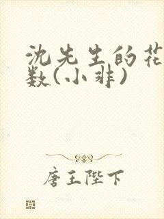 沈先生的花式调数(小非)