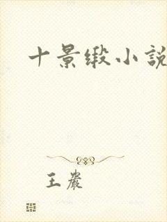十景缎小说