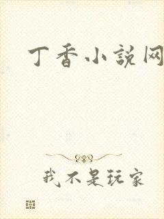丁香小说网