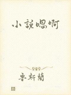 小说嗯啊