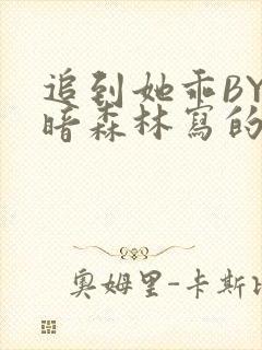 追到她乖BY黑暗森林写的小说