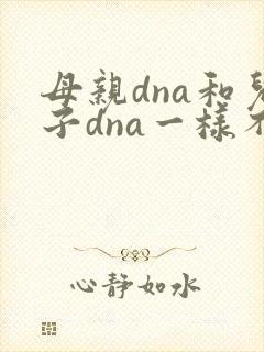 母亲dna和儿子dna一样不