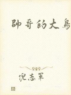 帅哥的大鸟