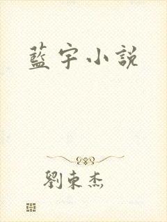 蓝宇小说