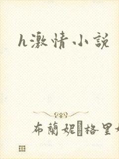 h激情小说