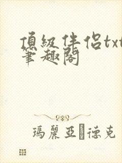 顶级伴侣txt笔趣阁