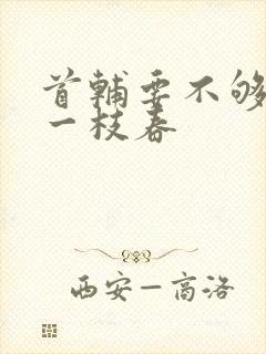 首辅要不够po一枝春