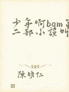 少年啊bgm第二部小说叫什么