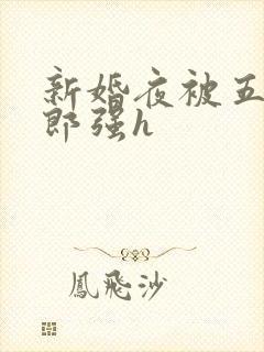 新婚夜被五个伴郎强h