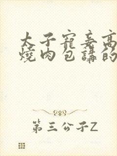 太子宠妾高肉红烧肉包讲的什么