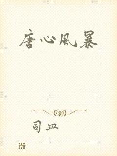唐心风暴