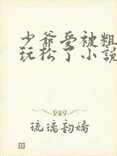 少爷受被粗汉H玩松了小说