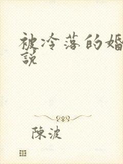 被冷落的婚姻小说