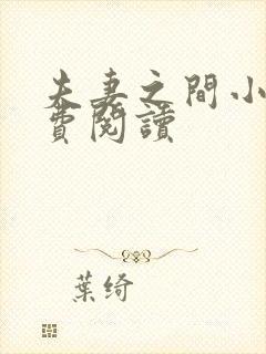 夫妻之间小说免费阅读