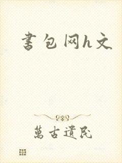 书包网h文