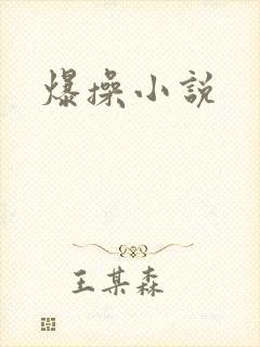 爆操小说