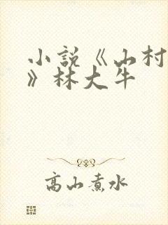 小说《山村情事》林大牛