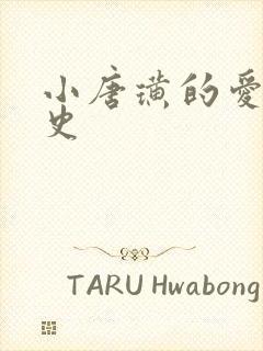 小唐璜的爱情历史