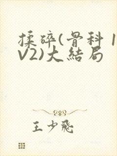 揉碎(骨科 1V2)大结局