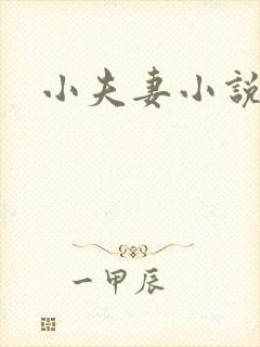 小夫妻小说