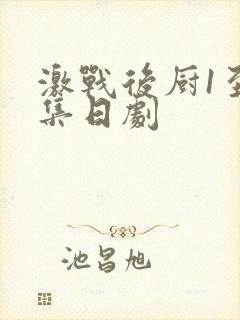 激战后厨1至5集日剧