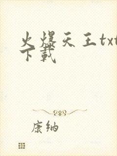 火爆天王txt下载