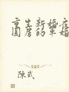 重生新婚夜正在圆房的军婚