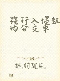 强行入侵粗暴h肉公交车